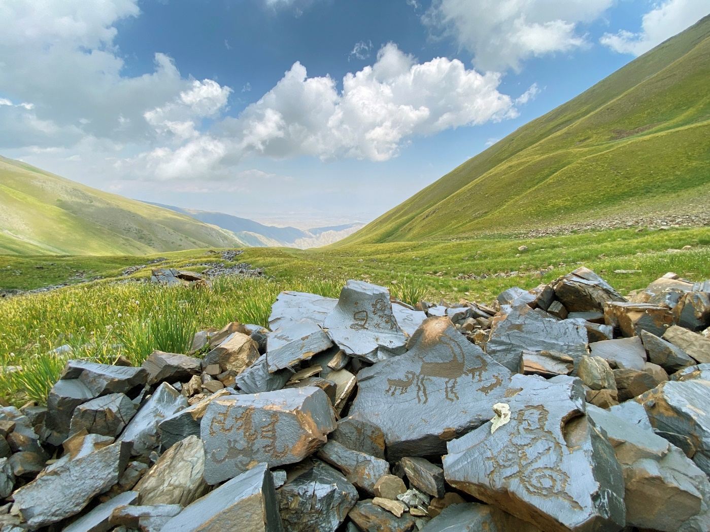 Bloques de roca con grabados rupestres en un valle de montaña de Saimaluu-Tash (Kirguistán)