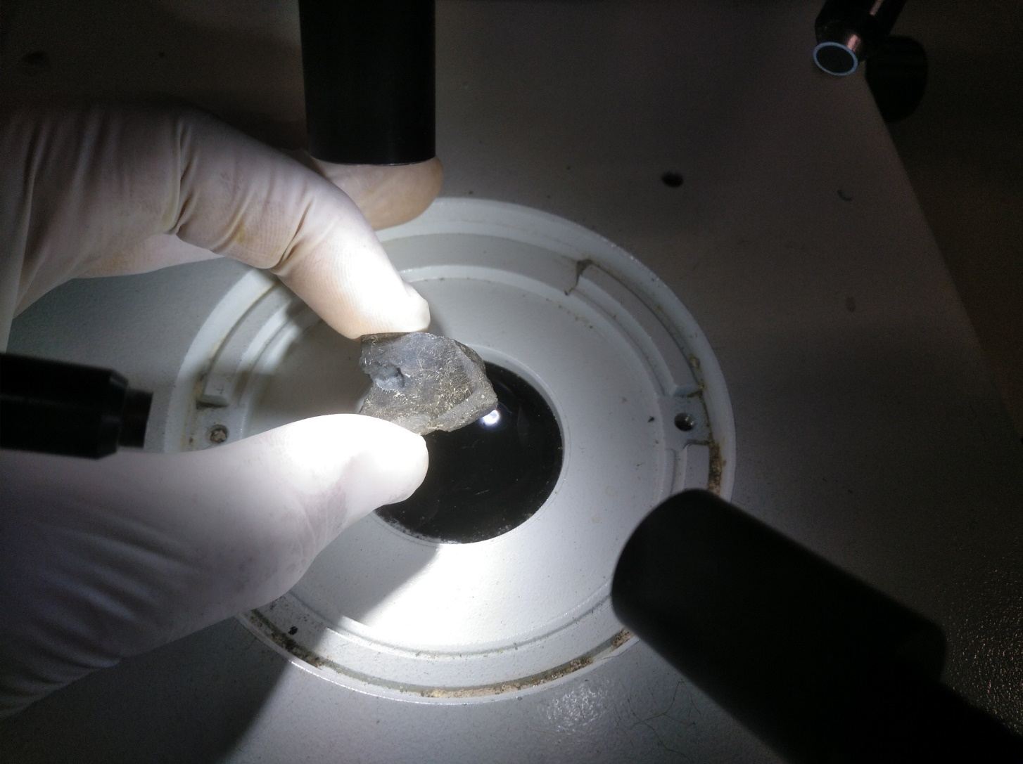 Muestra de caliza negra observada con lupa binocular en el laboratorio